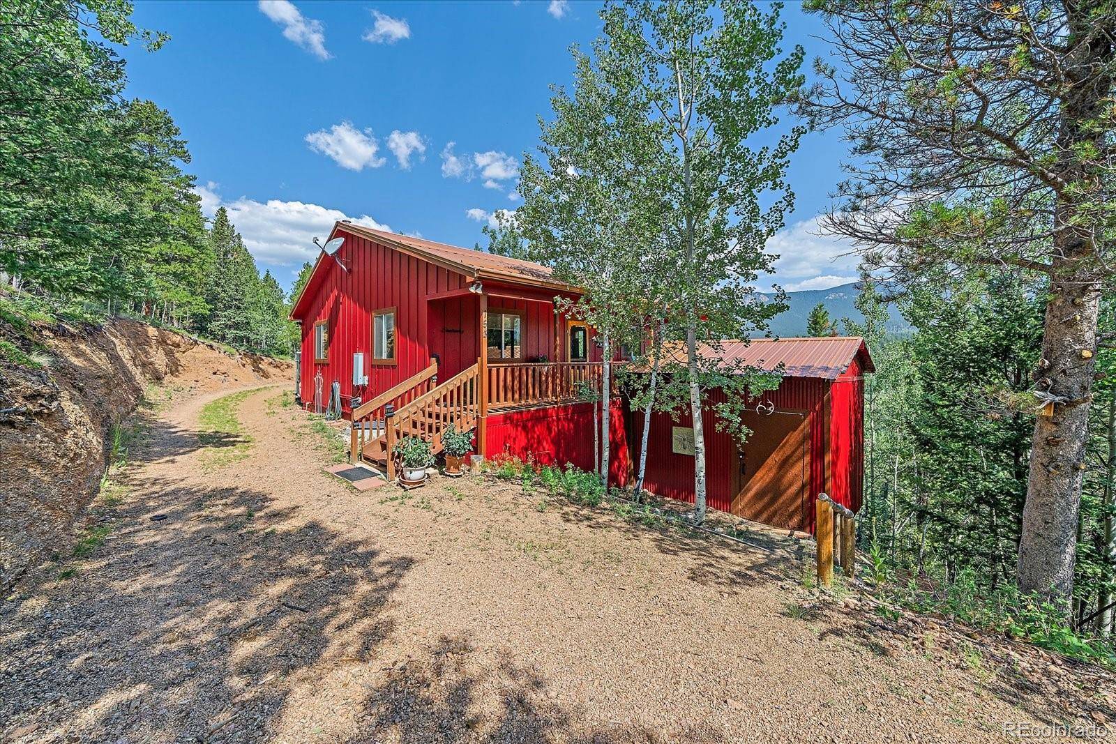 153 Wise RD, Bailey, CO 80421