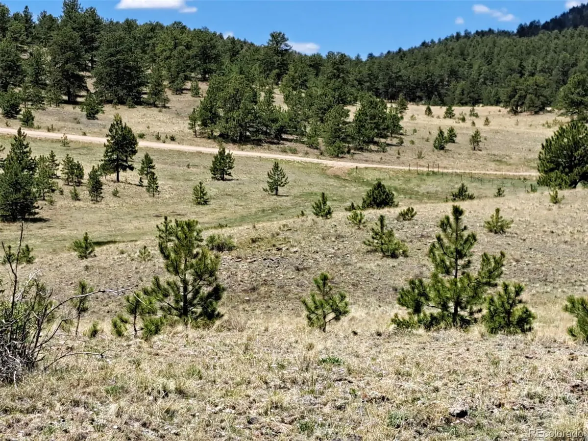 744 Julia RD, Guffey, CO 80820