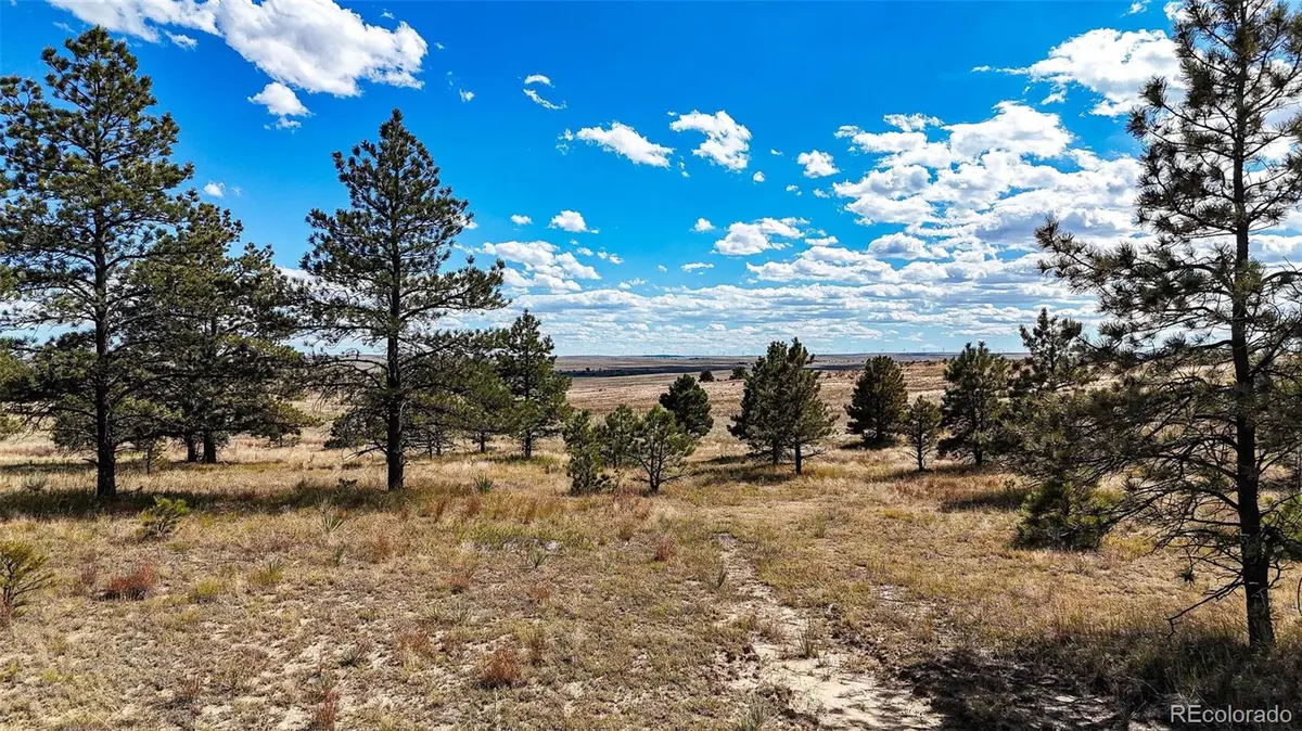 0 County Road 77, Calhan, CO 80808