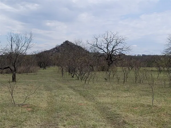 293 Threadgill LN, Valley Spring, TX 76885