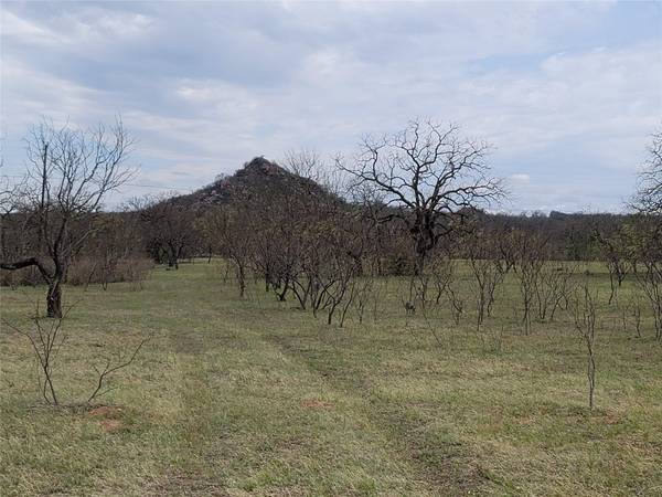 293 Threadgill LN, Valley Spring, TX 76885