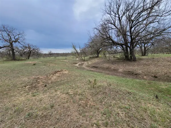 293 Threadgill LN, Valley Spring, TX 76885