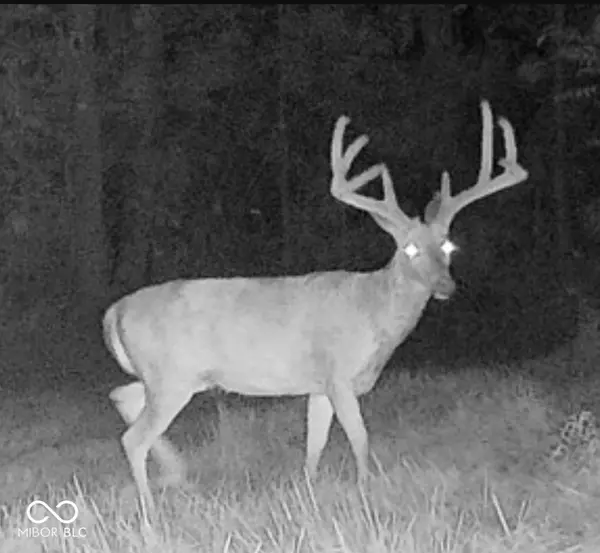 0 E 575 S, Markleville, IN 46056