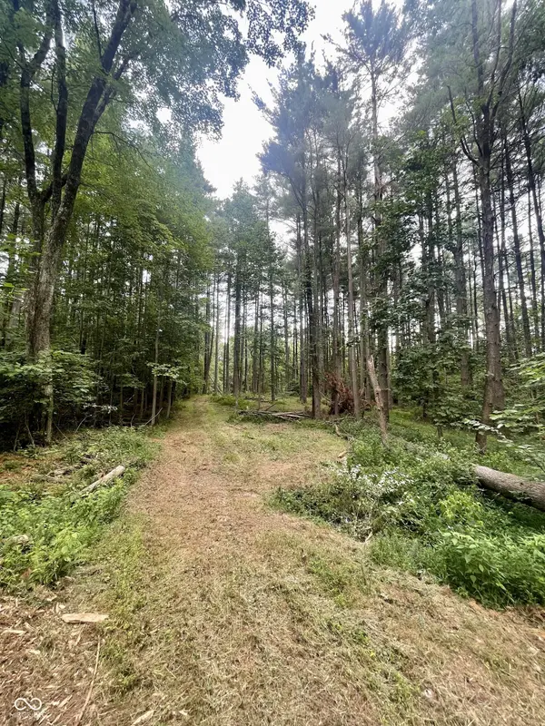 7288 Becks Grove RD, Freetown, IN 47235