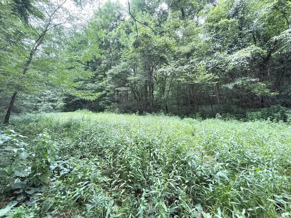 00000 E Ferndale RD, Rockville, IN 47872