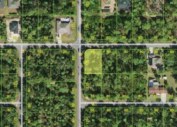 18249 PLACID AVE, Port Charlotte, FL 33948