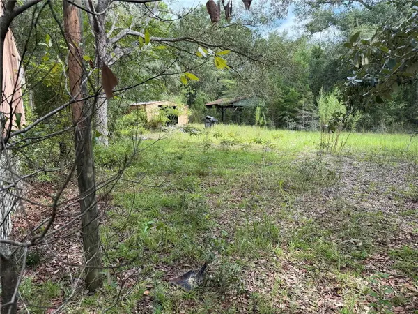 11590 NE 88TH LN, Bronson, FL 32621