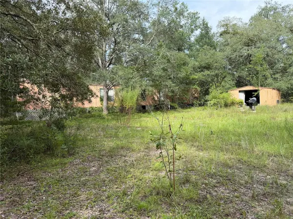 11590 NE 88TH LN, Bronson, FL 32621