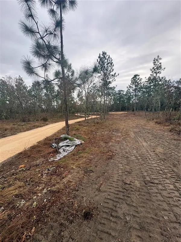 SE 4TH ST, Williston, FL 32696