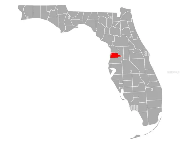 11619 GRACE RD, Weeki Wachee, FL 34614