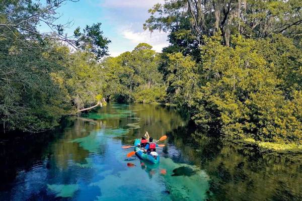 11612 GRACE RD, Weeki Wachee, FL, 34614 photo 7