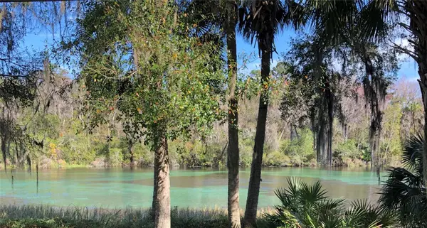 7357 N FIRWOOD CIR, Citrus Springs, FL 34433