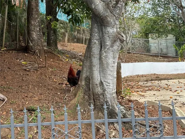 SR 101 KM 16.4 CAMINO COFRESÌ, Cabo Rojo, PR 00623