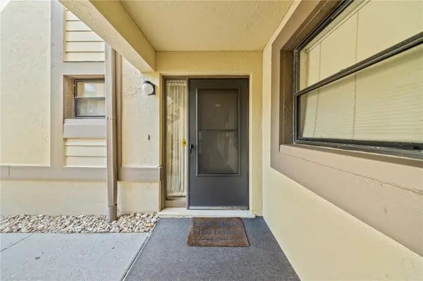 317 WOODLAKE WYNDE, Oldsmar, FL 34677