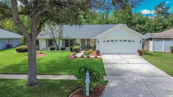 15118 NATUREWALK DR, Tampa, FL 33624