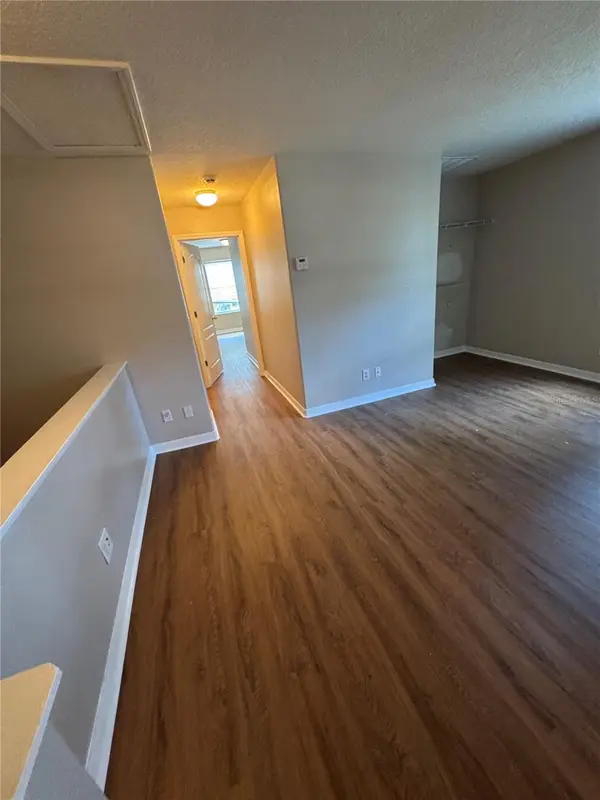 10625 SHADY FALLS CT, Riverview, FL 33578