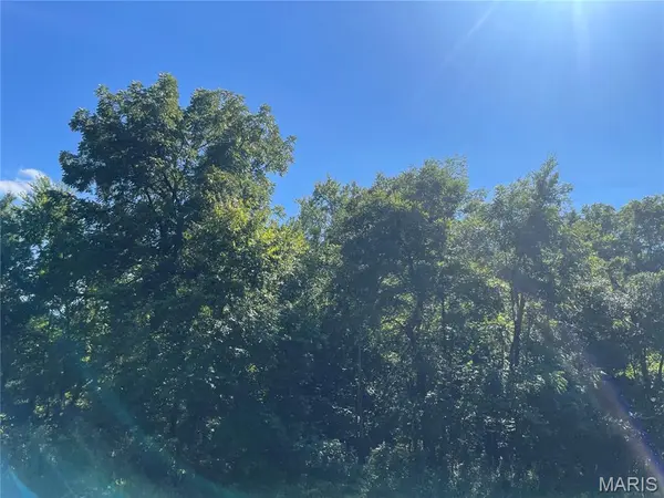 0 Wayne CR 344, Piedmont, MO 63957