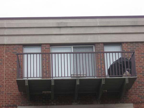 412 Kelburn AVE #316, Deerfield, IL 60015