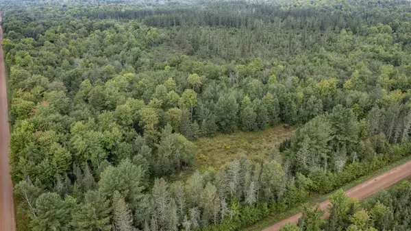 W14748 2ND AVE, Gleason, WI 54435
