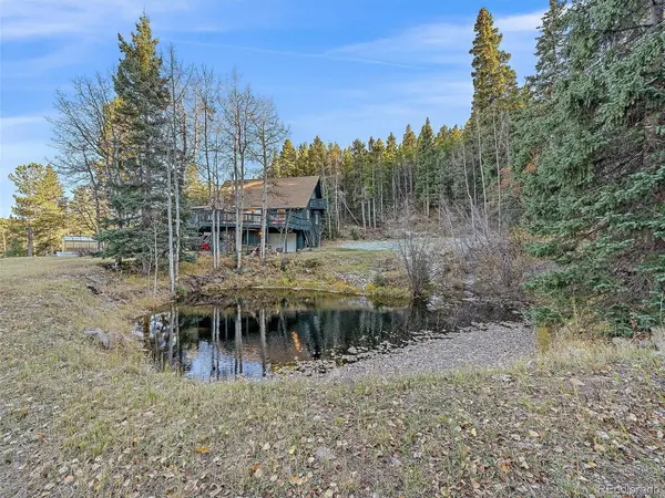 80 Castlewood CT, Evergreen, CO 80439