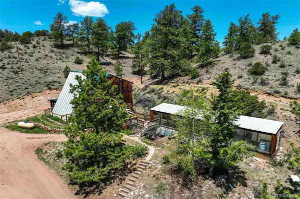 351 Badger CIR, Guffey, CO 80820