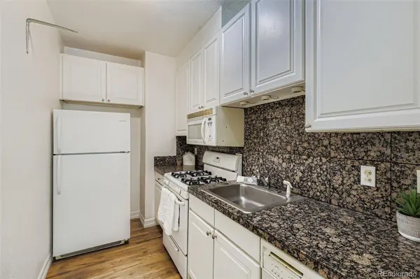 1650 N Pearl ST #17, Denver, CO 80203
