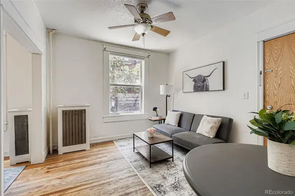 1650 N Pearl ST #17, Denver, CO 80203