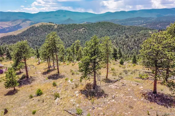 33550 Mount Wilson TRL, Pine, CO 80470