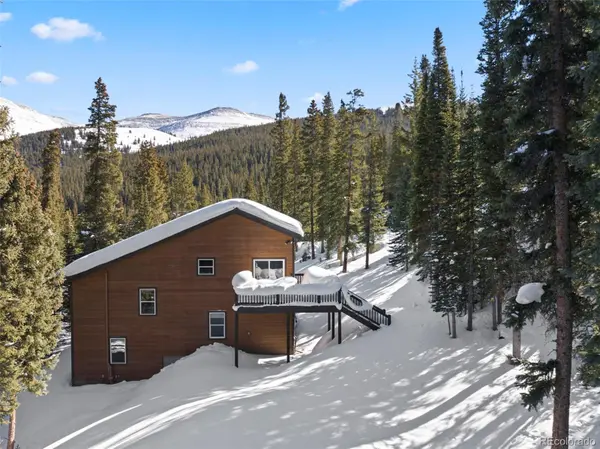 493 CR 672, Breckenridge, CO 80424