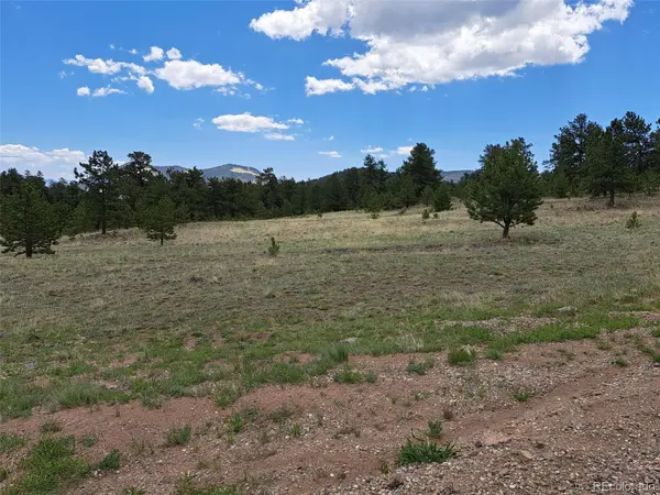 744 Julia RD, Guffey, CO 80820