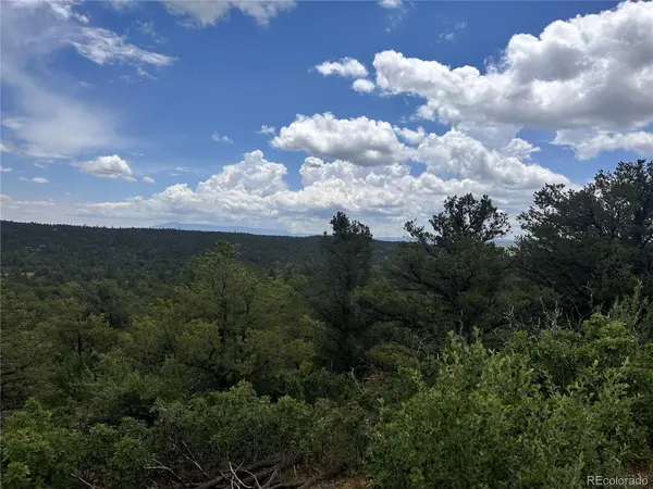 000 El Toro Way, Boncarbo, CO 81082