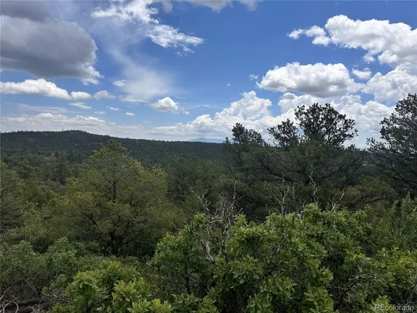 000 El Toro Way, Boncarbo, CO 81082