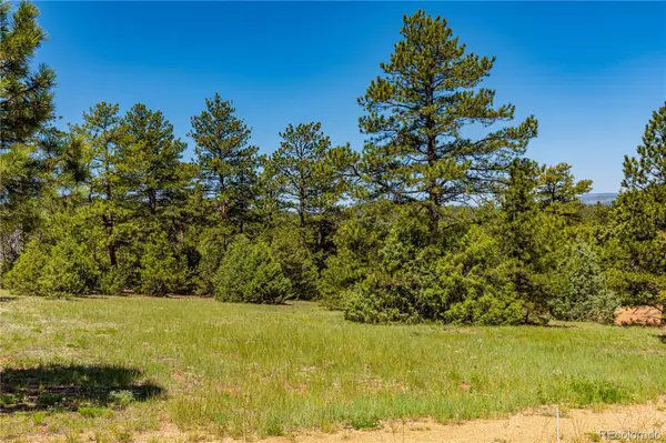 288 Bear LN, Cotopaxi, CO 81223
