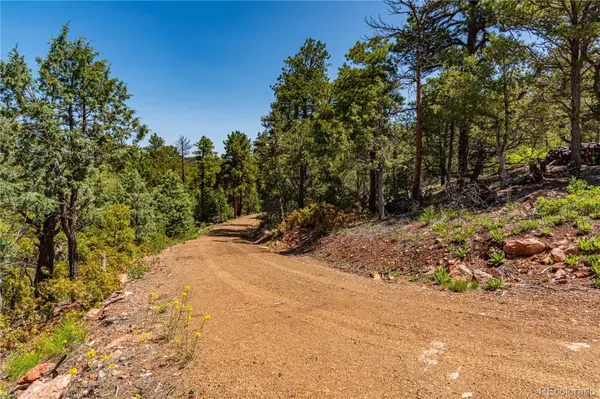 288 Bear LN, Cotopaxi, CO 81223
