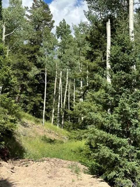 TBD, Jasper, CO 81132