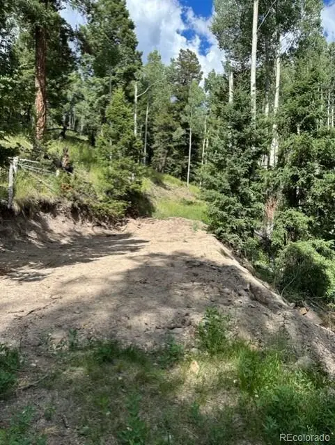 TBD, Jasper, CO 81132