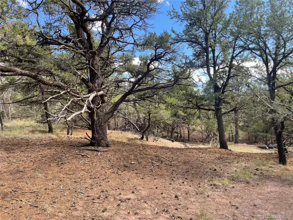 576 Panorama, Crestone, CO 81131