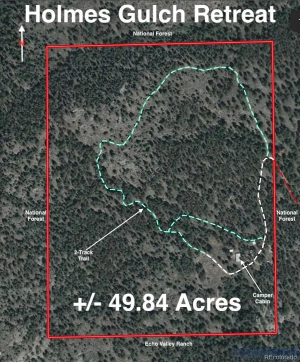 1667 Co Road 835, Bailey, CO 80421