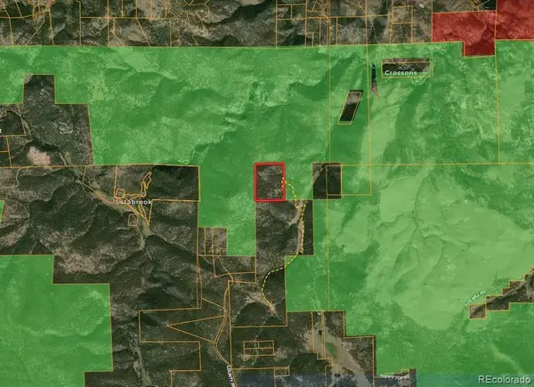1667 Co Road 835, Bailey, CO 80421