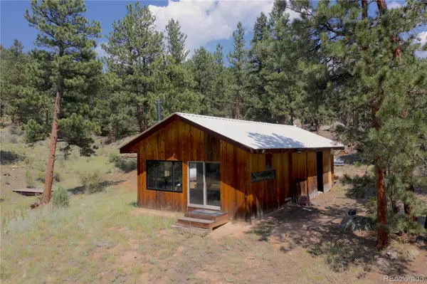 1667 Co Road 835, Bailey, CO 80421