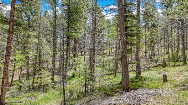 28 Deer CIR, Florissant, CO 80816