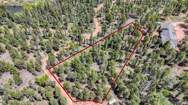28 Deer CIR, Florissant, CO 80816