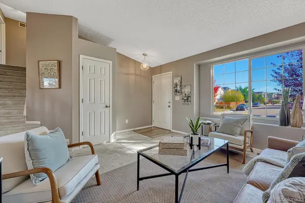 1183 Parsons AVE, Castle Rock, CO 80104