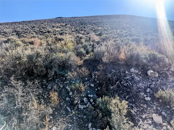3 Lots 42.7 acres MBVR, Blanca, CO 81123