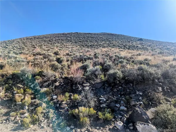 3 Lots 42.7 acres MBVR, Blanca, CO 81123
