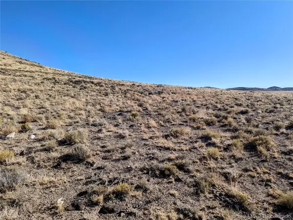 3 Lots 42.7 acres MBVR, Blanca, CO 81123