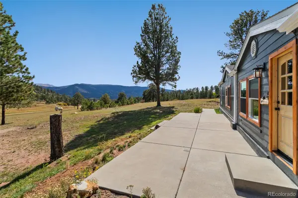 154 Hummingbird CIR, Florissant, CO 80816