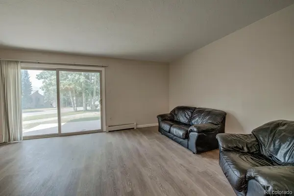 1213 Straight Creek DR #101, Dillon, CO 80435