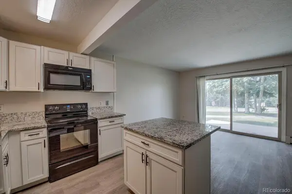 1213 Straight Creek DR #101, Dillon, CO 80435