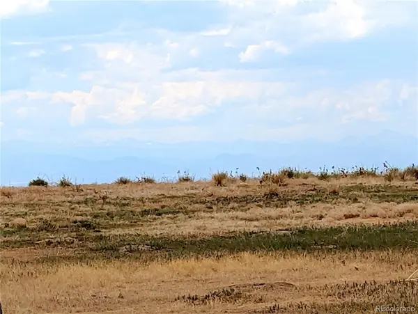 10874 Shadow Pines RD, Parker, CO 80138